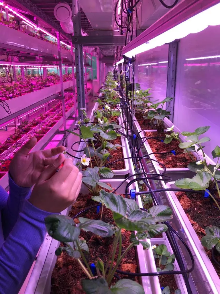 Varmers vertical farm interior