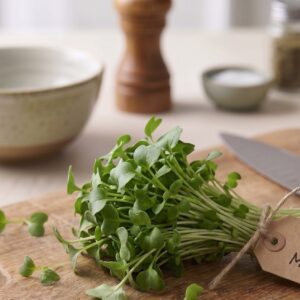 Green Mustard by Varmers Microgreens
