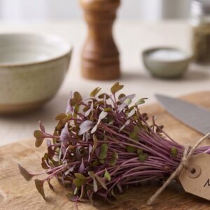Red Mustard by Varmers Microgreens