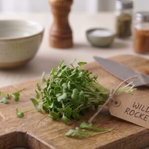 Wild Rocket Giuditta by Varmers Microgreens
