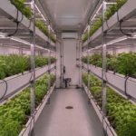 Varmers Container 48 vertical farm